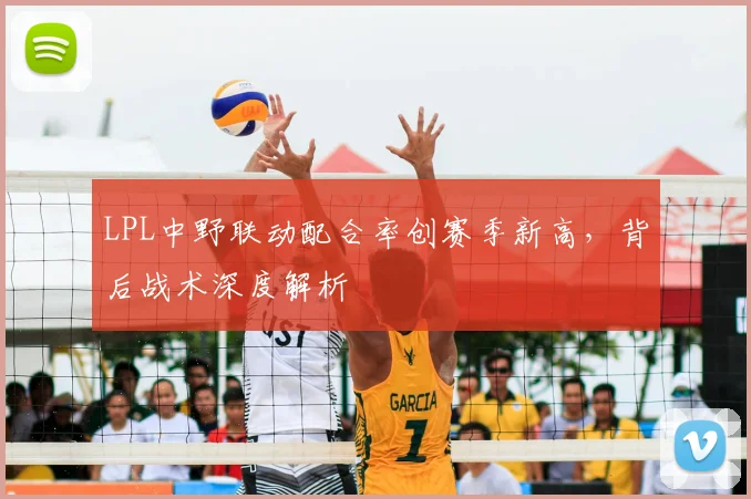 LPL中野联动配合率创赛季新高，背后战术深度解析