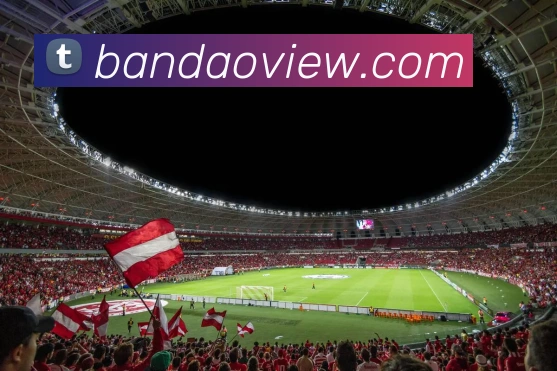 半岛体育官网服务体系